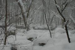 雪に埋もれた渓流